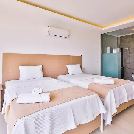 Premium 2 Vila
